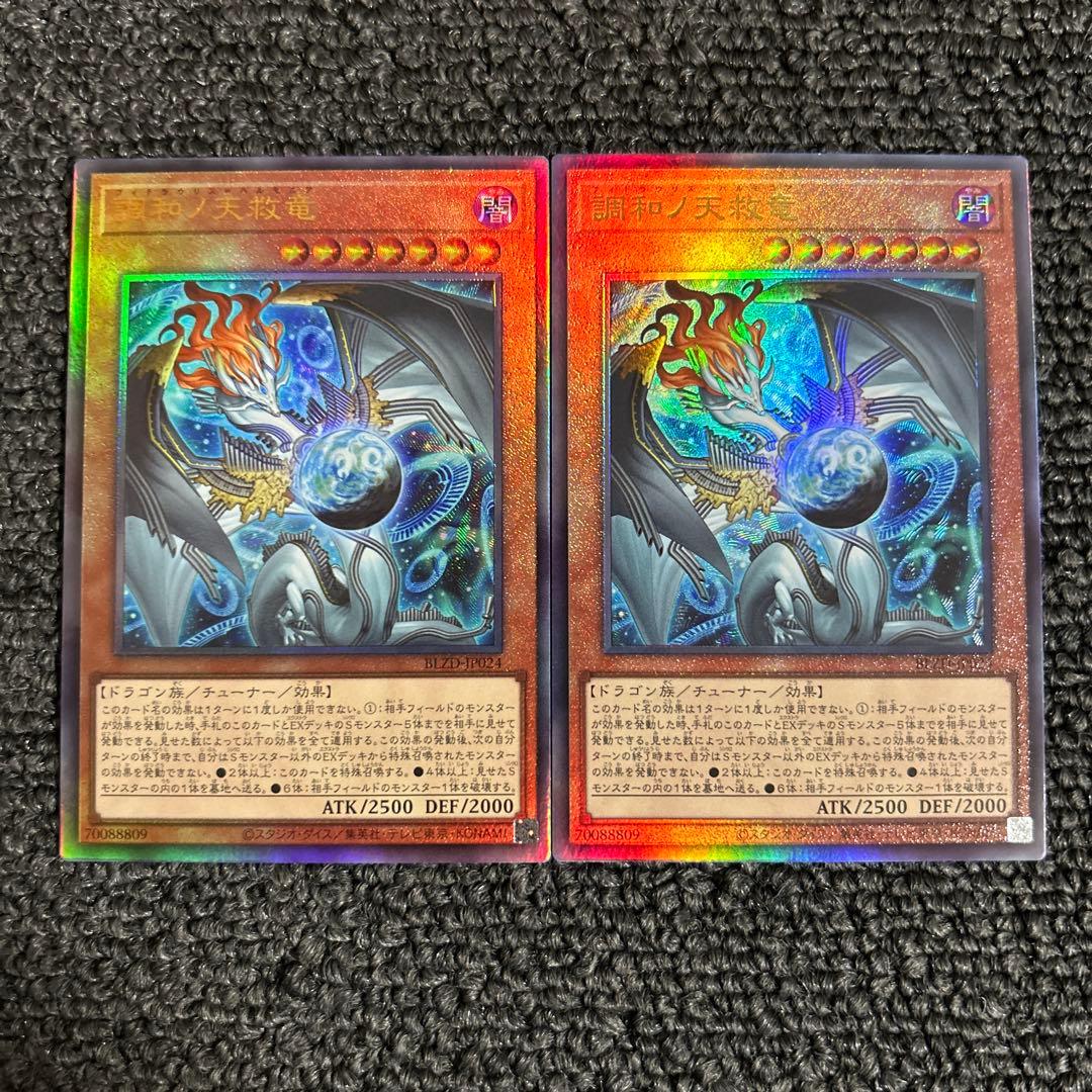 調和ノ天救竜 ハルモニア レリーフ