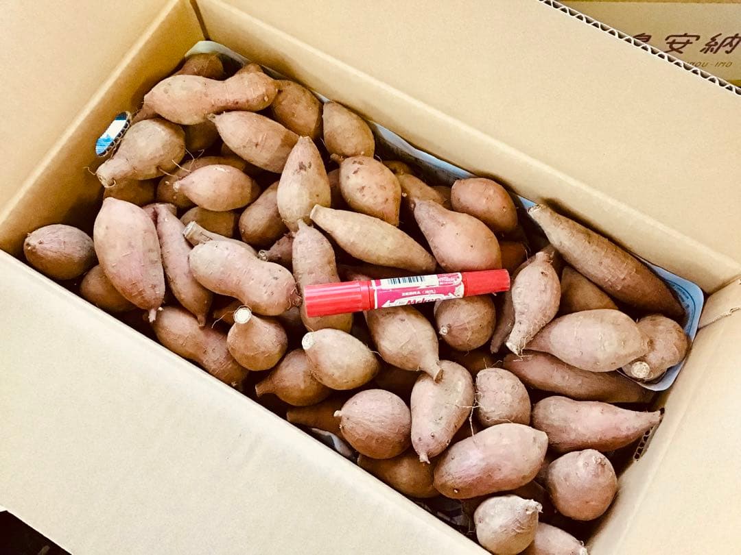 安納芋種子島産　2sサイズ20kgさつまいもの王道 #5