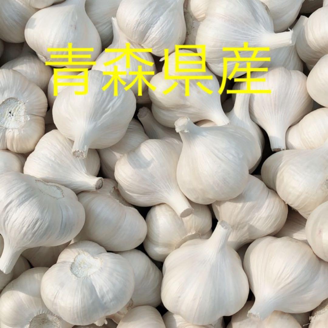 青森県産にんにくSサイズ5キロ