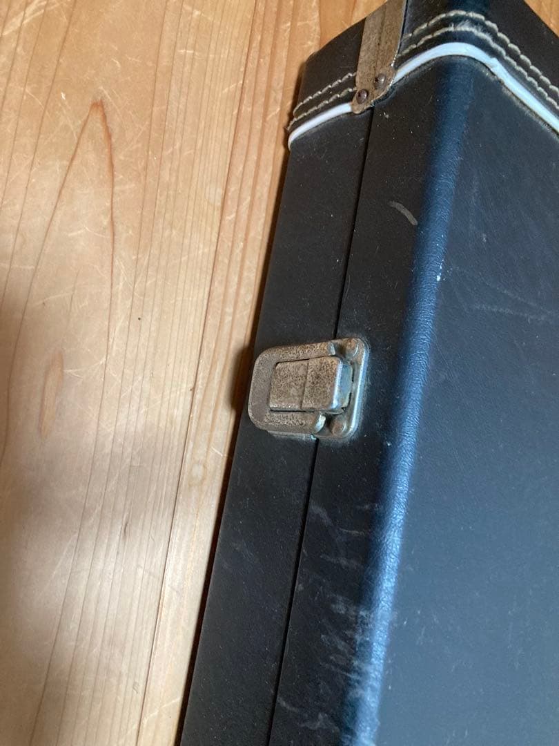 エレキ　ハードケース