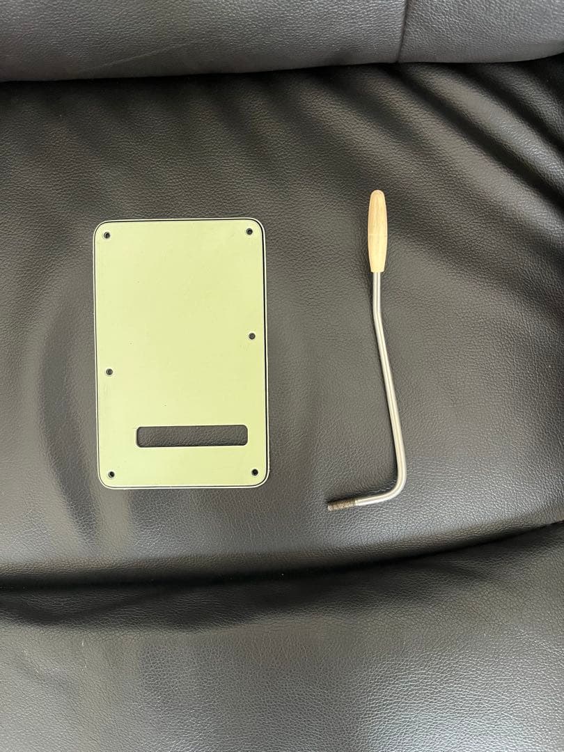 ま*や様 fender USA Custom Shop Texas Specia