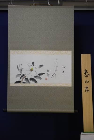 真作/逢月/泰山木/俳句/桐共箱付/布袋屋掛軸HC-94