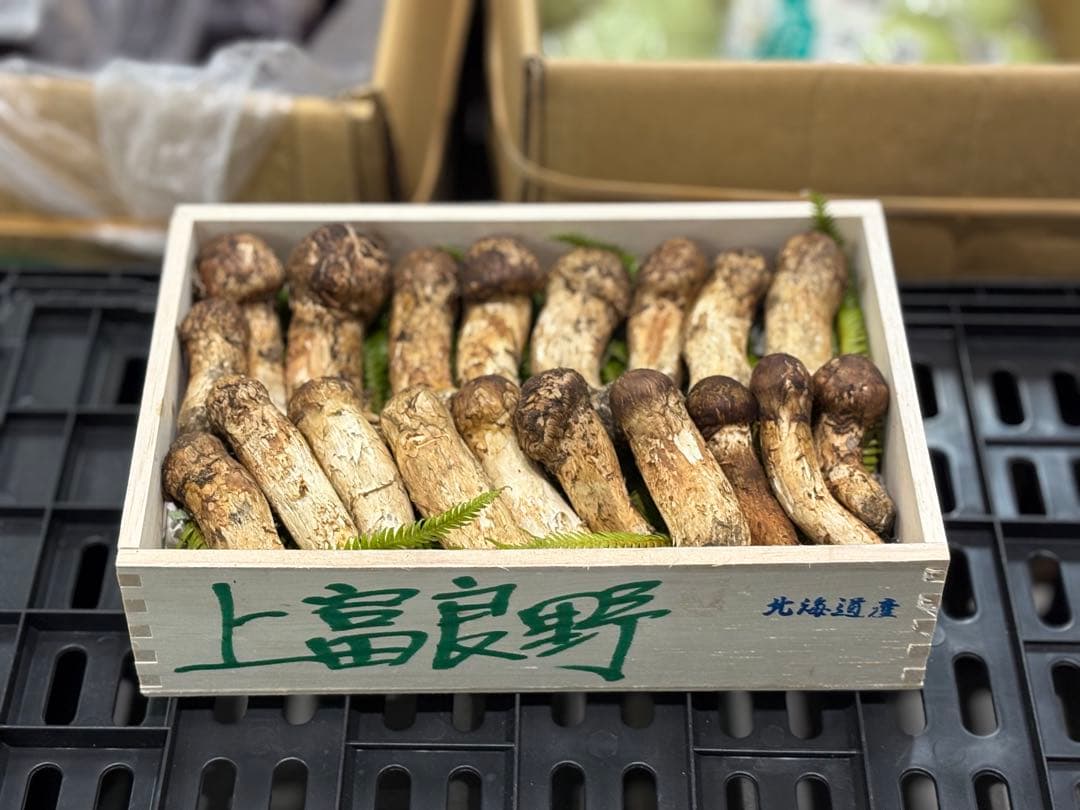 ま*ー様 【築地直送！】国産天然松茸約400g