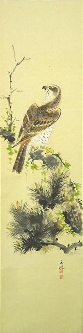 【真作】掛軸 丸尾玉琳『老松に鷹之図』紙本 共箱付 掛け軸 a100816