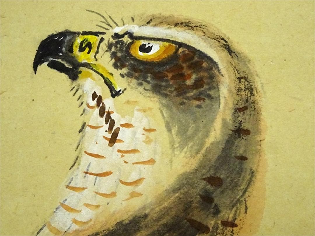 【真作】掛軸 丸尾玉琳『老松に鷹之図』紙本 共箱付 掛け軸 a100816