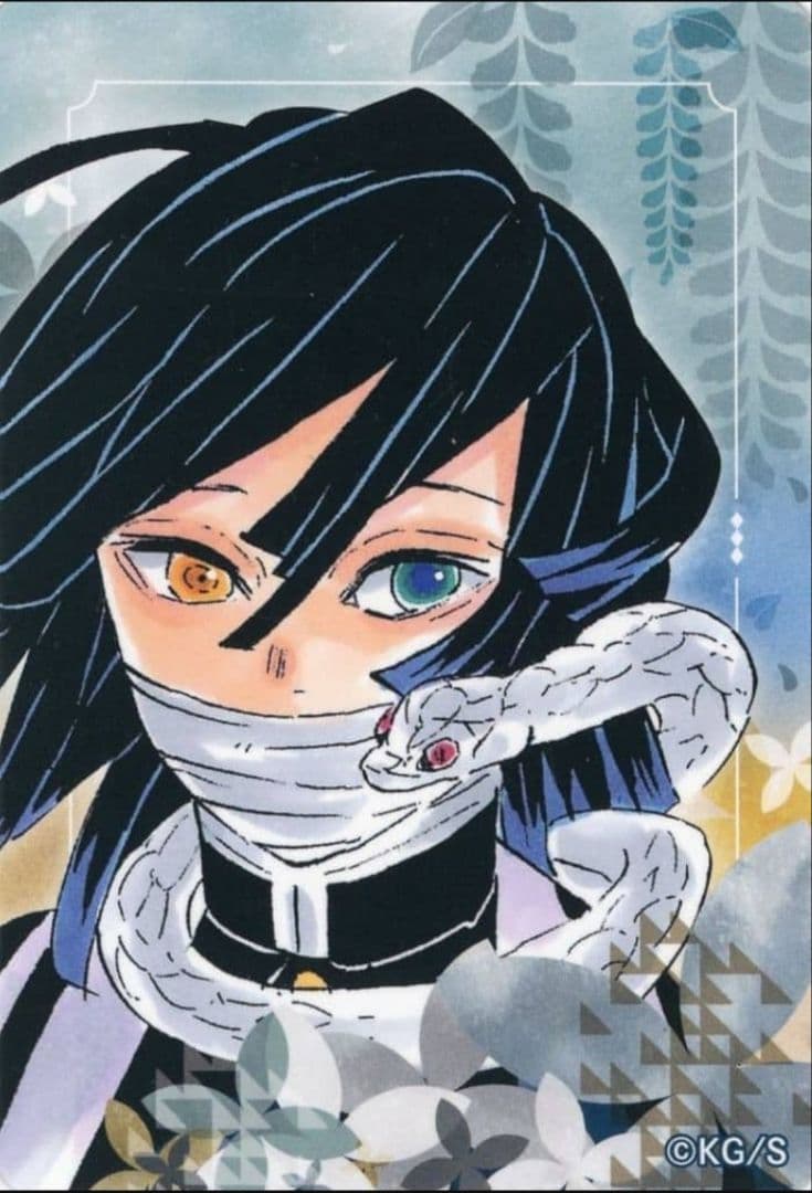 鬼滅の刃　伊黒小芭内 　セット