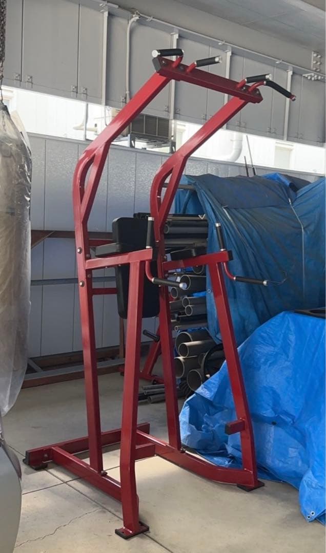 腹筋、懸垂、ディップス