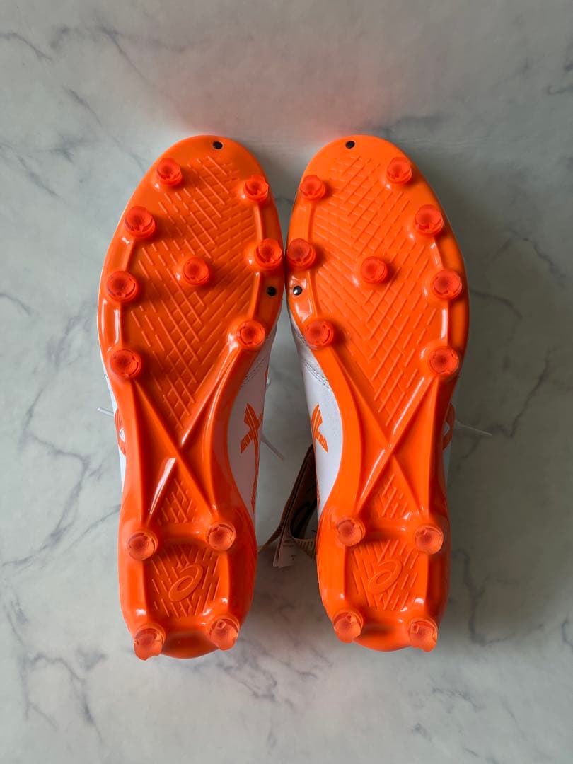 アシックス DS LIGHT X-FLY5 新品未使用タグ付き29cm