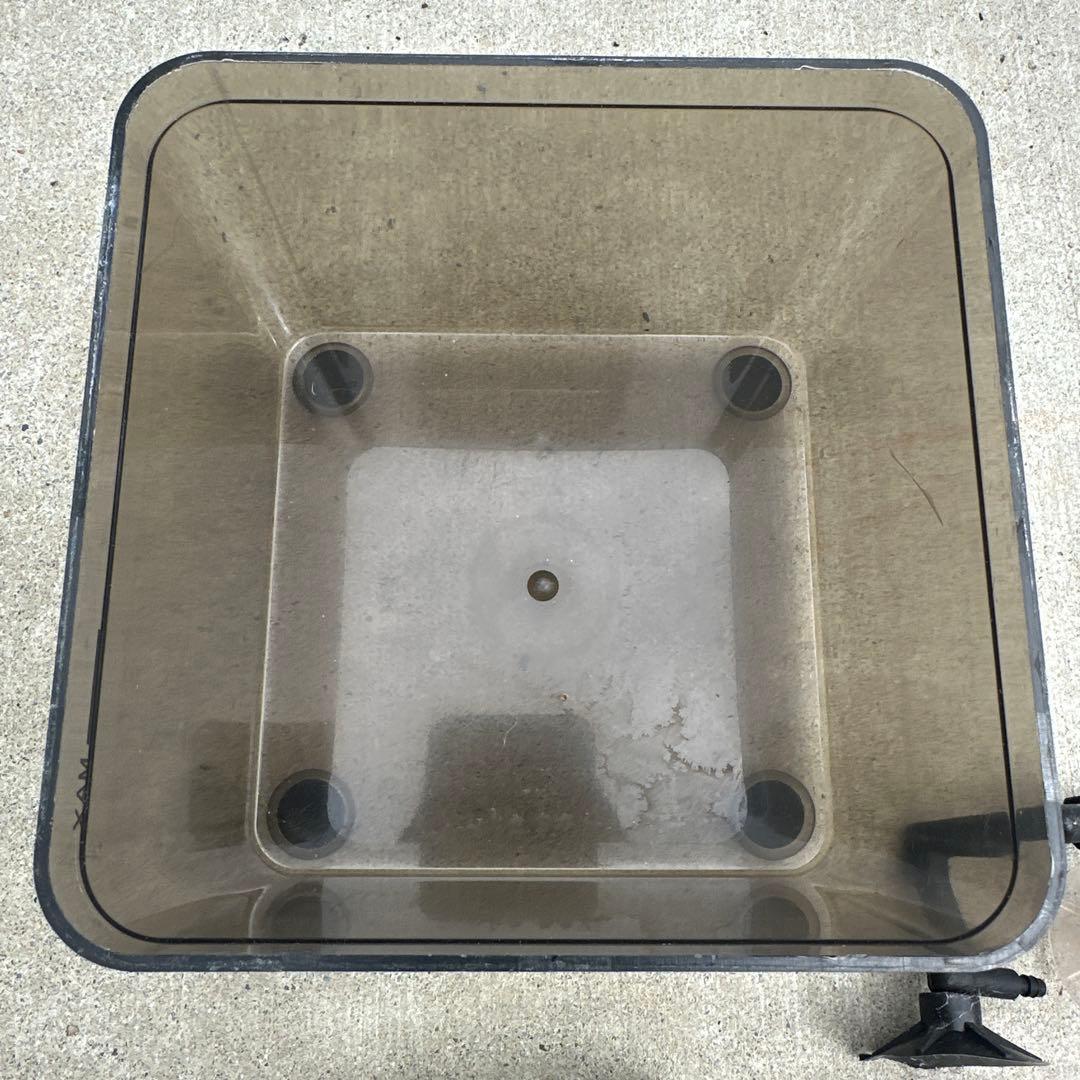 GEX エキゾテラ モンスーンソロ