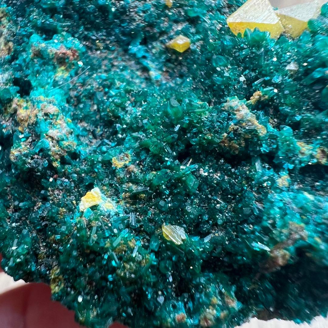 ダイオプテーズ ウルフェナイト 共生 鉱物 標本 原石