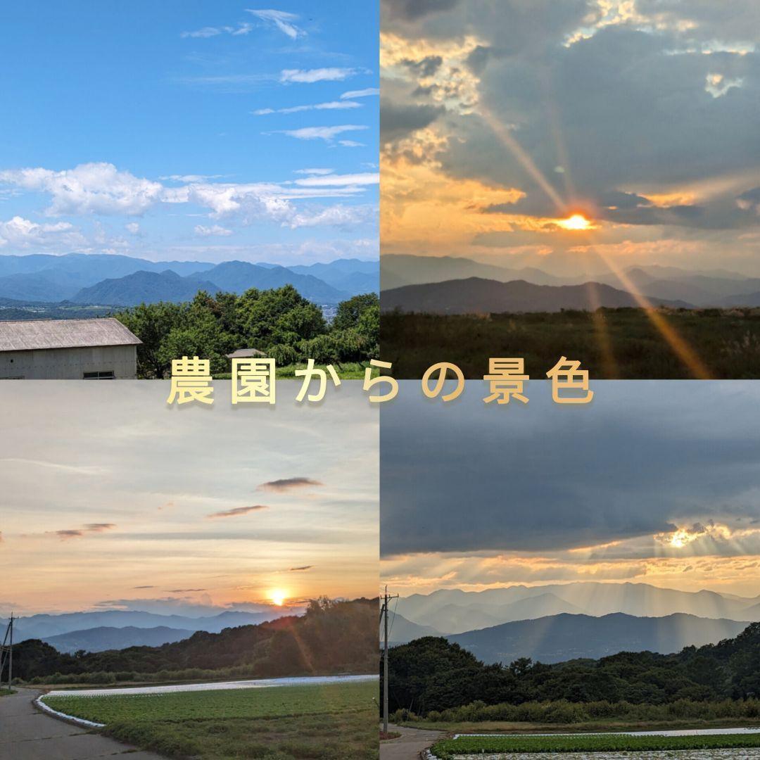 【かおりん商品 】 限定セール 殻付きくるみ 極小〜小サイズ 14kg