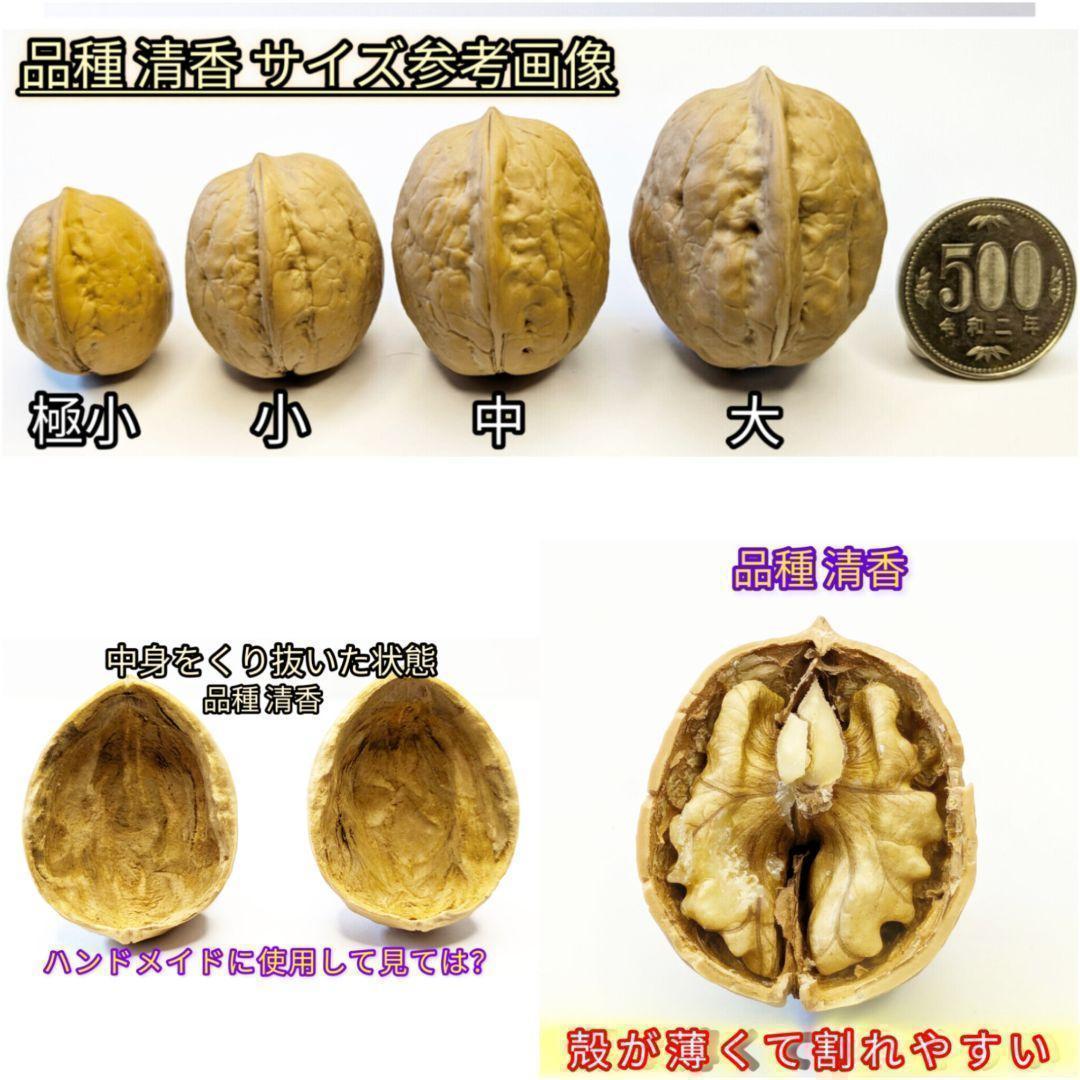 【かおりん商品 】 限定セール 殻付きくるみ 極小〜小サイズ 14kg