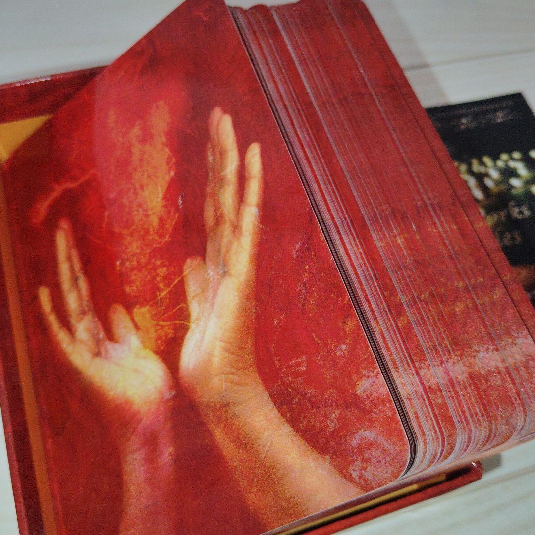 スピリチュアルリーディングカード シルビア・ブラウン 絶版販売終了品