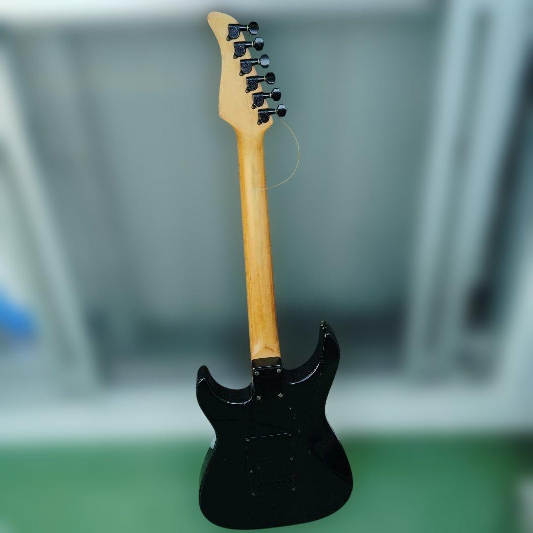 エレキギター FERNANDES