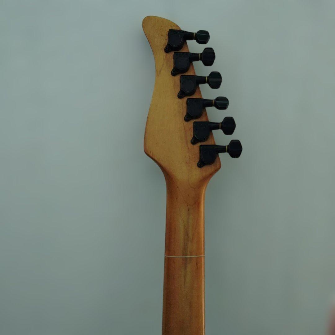 エレキギター FERNANDES