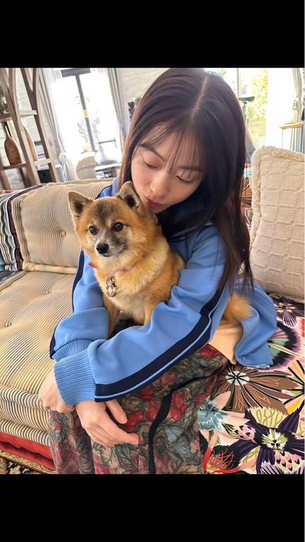 橋本環奈着用 80s asicsトラックジャケット アシックス ジャージ