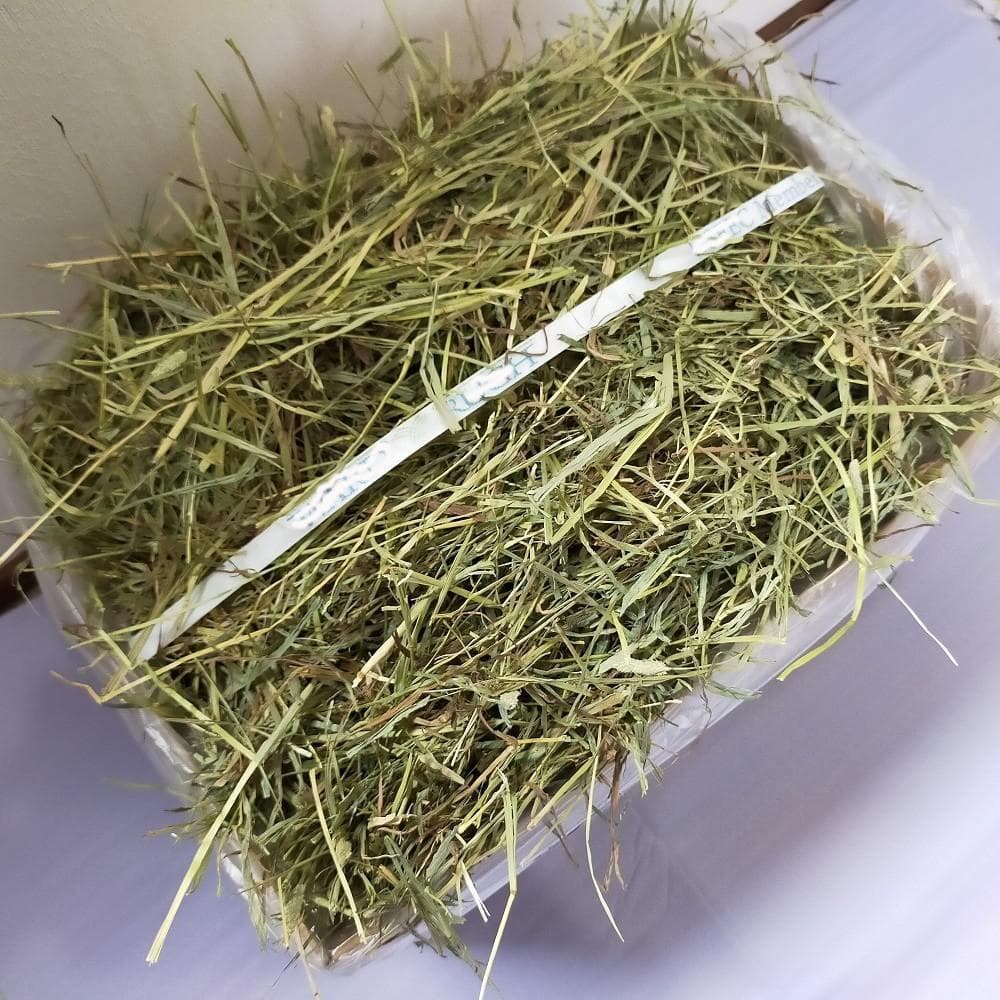 US産 チモシー 60kg ２番刈 ソフトスーパープレミアム