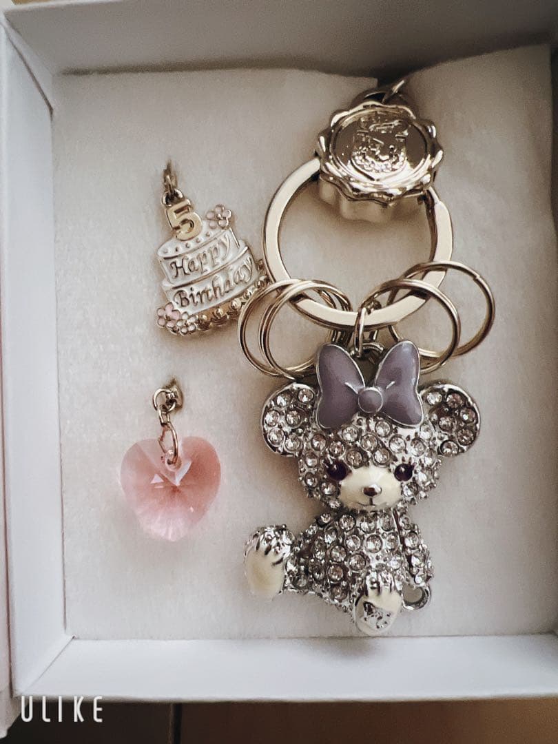 5th Anniversary キーホルダー