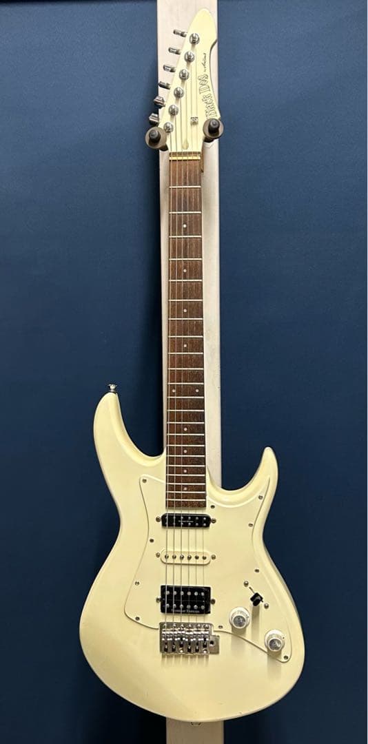 Black Dog by Aria pro Ⅱ ST type mod.