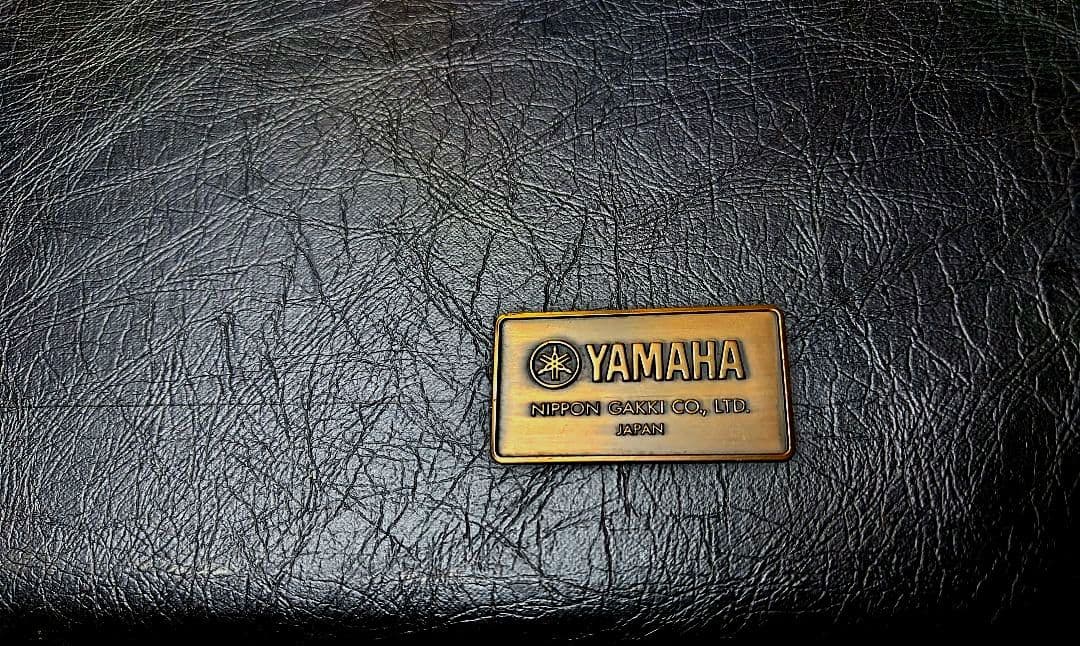 TOKAI Silver Star 79年 ハードケース付き