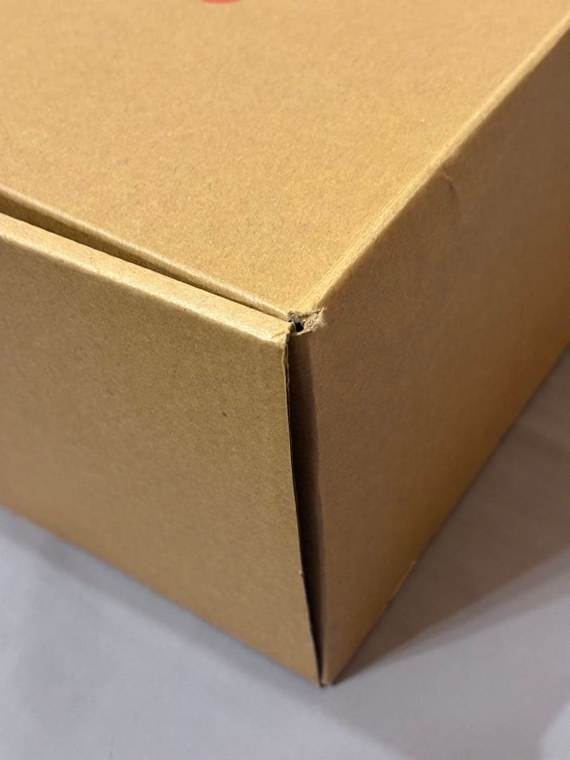 FLUX スノーブーツ FL-BOA 新品未使用