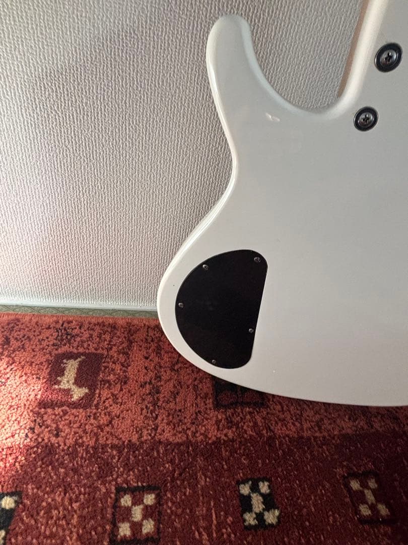 ARIA PRO II RSB SERIES 5弦ベース