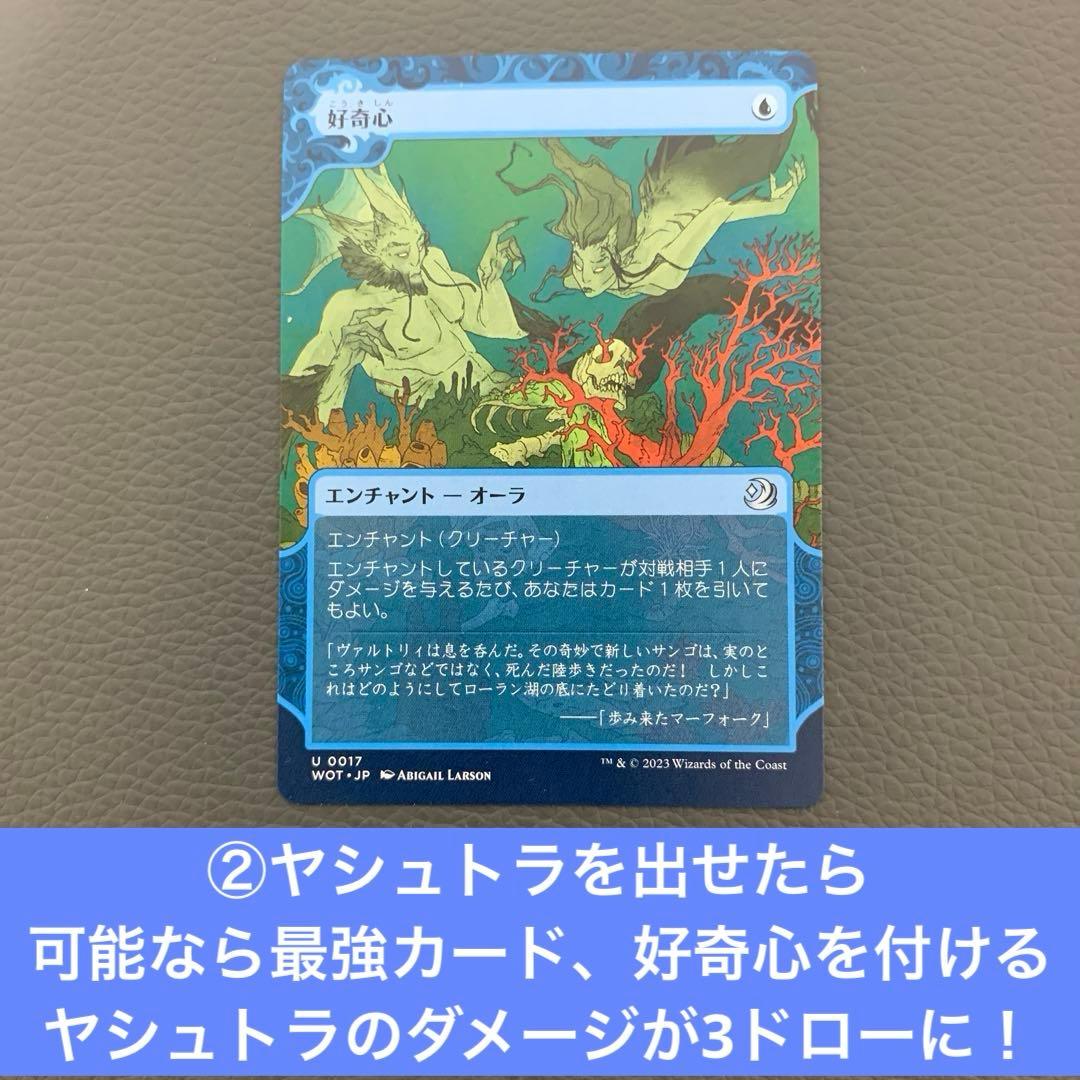 1*d様 すぐ遊べる！魔女、ヤシュトラ・ルル ドレインスペル レア24枚 日本語