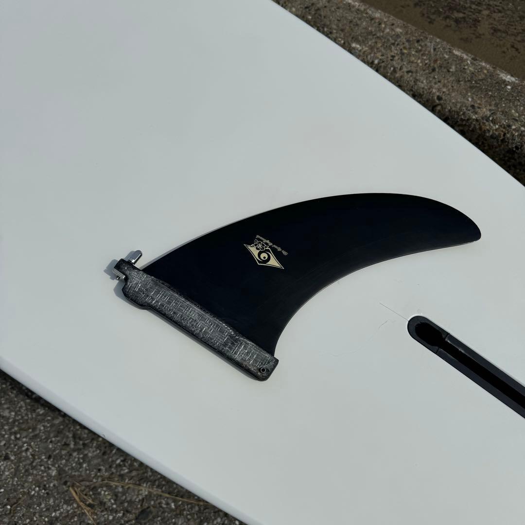 BICロングボード (ノーズライダー)10ft、カバー付き、屋内保管