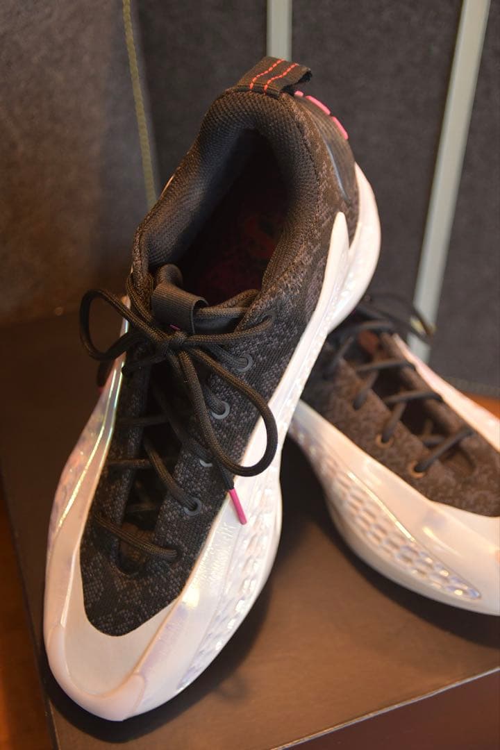 AE1 Low / バスケットボールシューズ Year of Snake