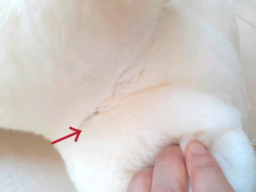 Sale❤ヴィンテージ❤昭和レトロ❤うめ吉❤ぬいぐるみ❤大きいサイズ