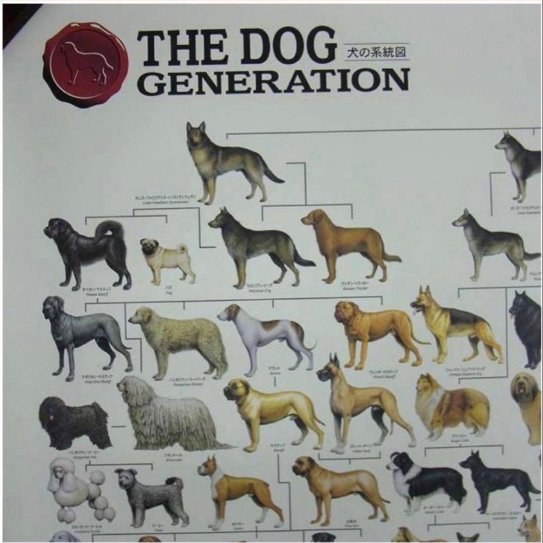 ポスター 犬の系統図 The Dog Generation B1サイズ