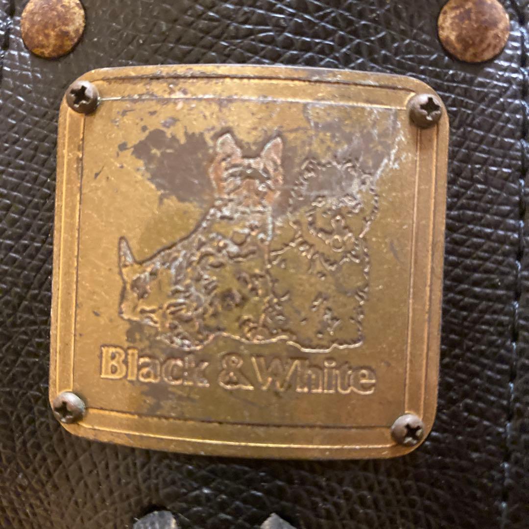 【希少】BLACK&WHITE キャディバッグ