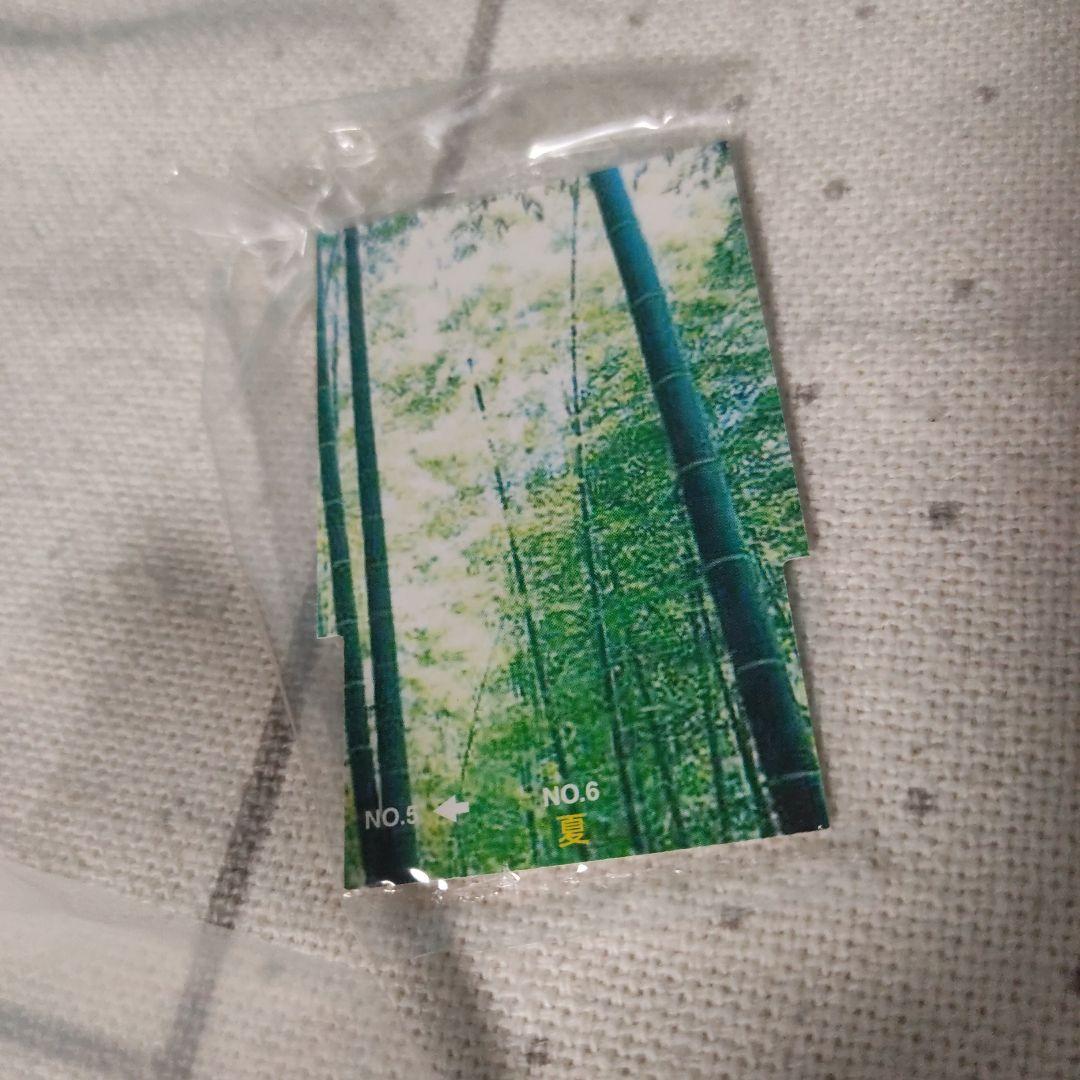 CuZoo CuPanda パンダ 大熊猫 キューズー キュービックルーム