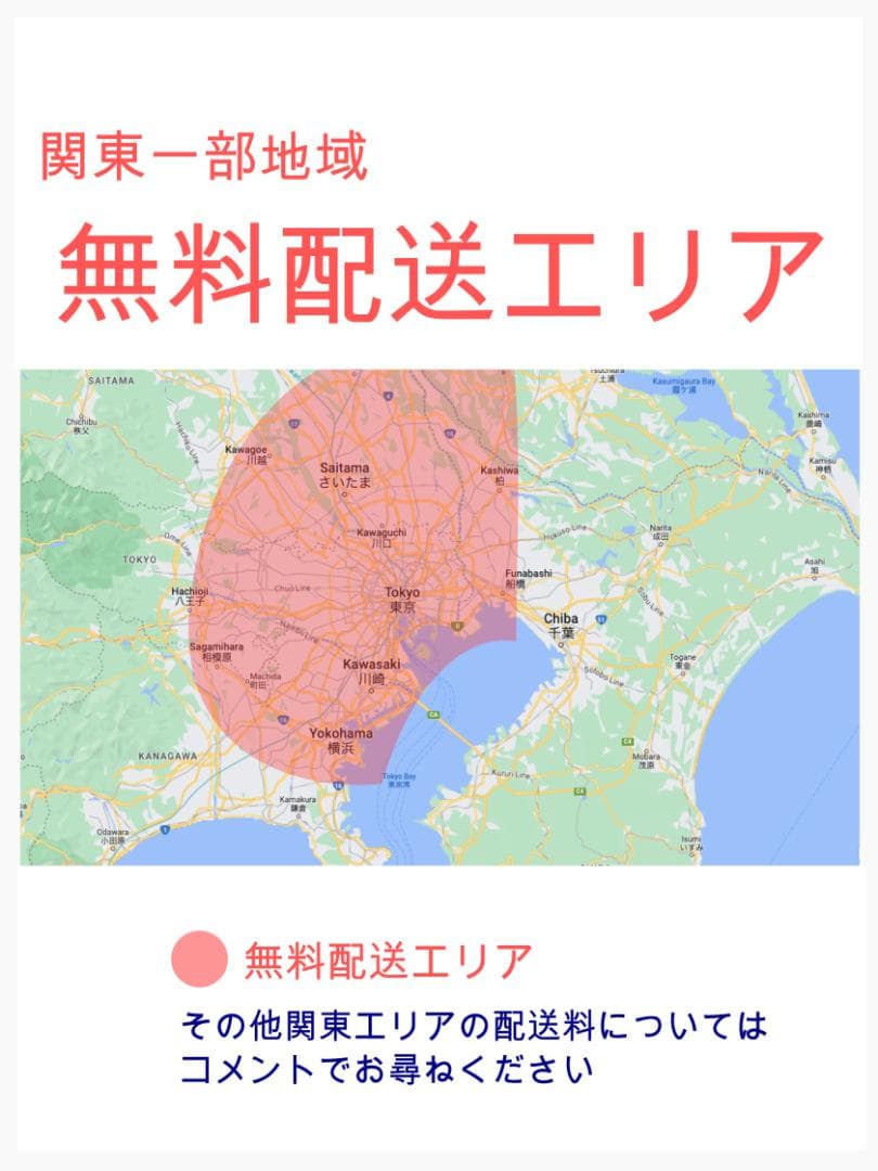 2019年モデル ギュトクルーム 子供乗せ電動アシスト自転車 H3174