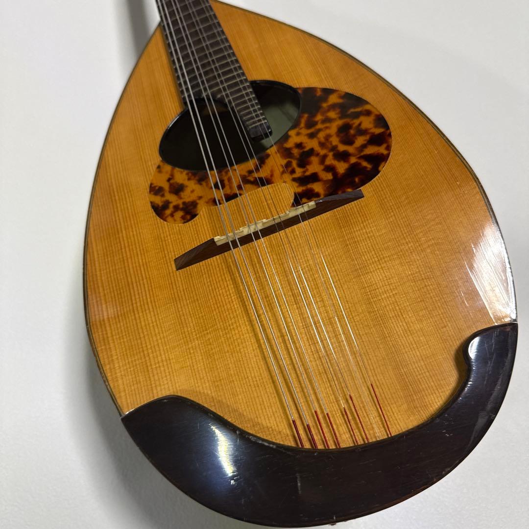 藤丸常夫　No.artistマンドリン