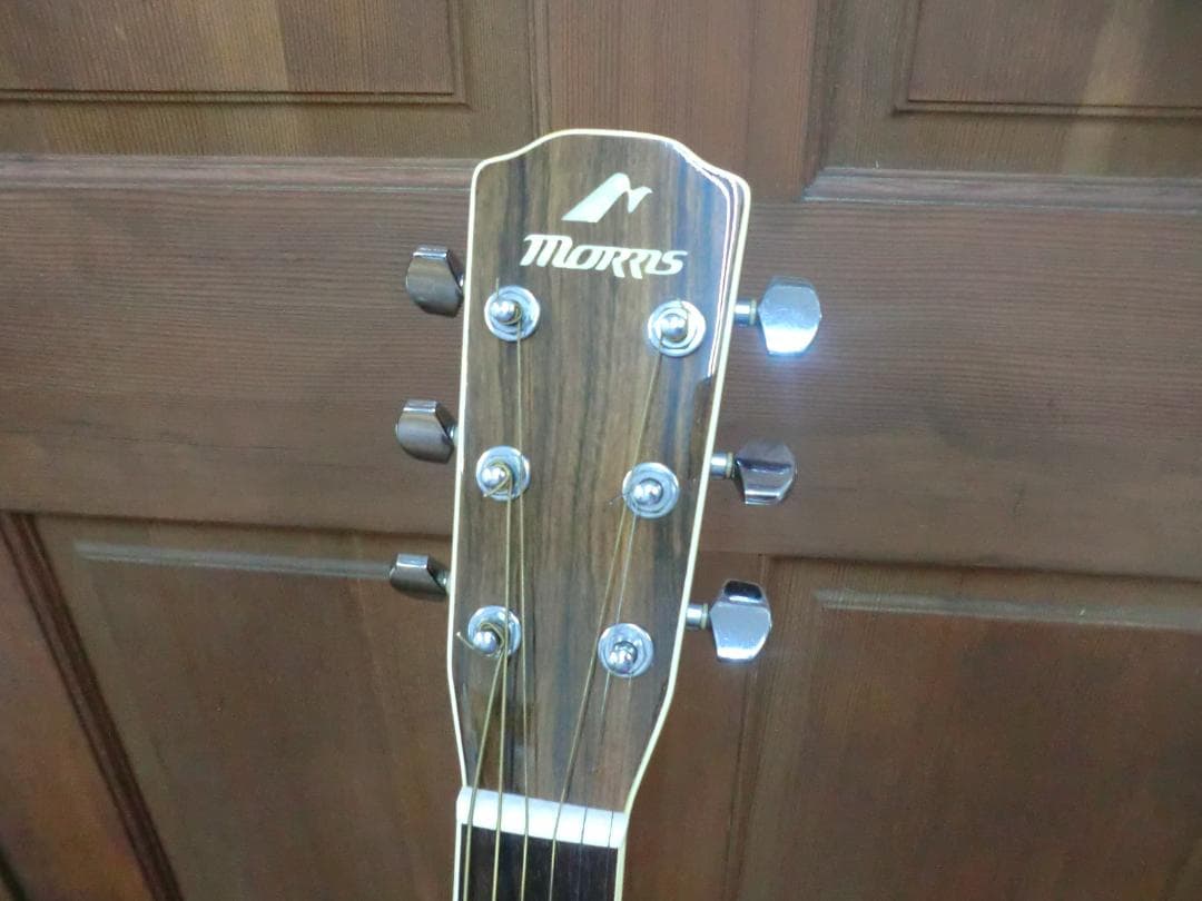 ギター Morris MF-501