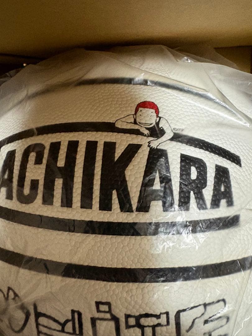 値下げ可能　SLAM DUNK × TACHIKARA BALL PACK