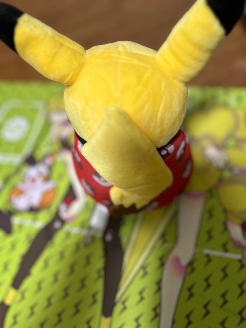 ポケモン　ぬいぐるみ　マンスリーピカチュウ　ダルマッカ