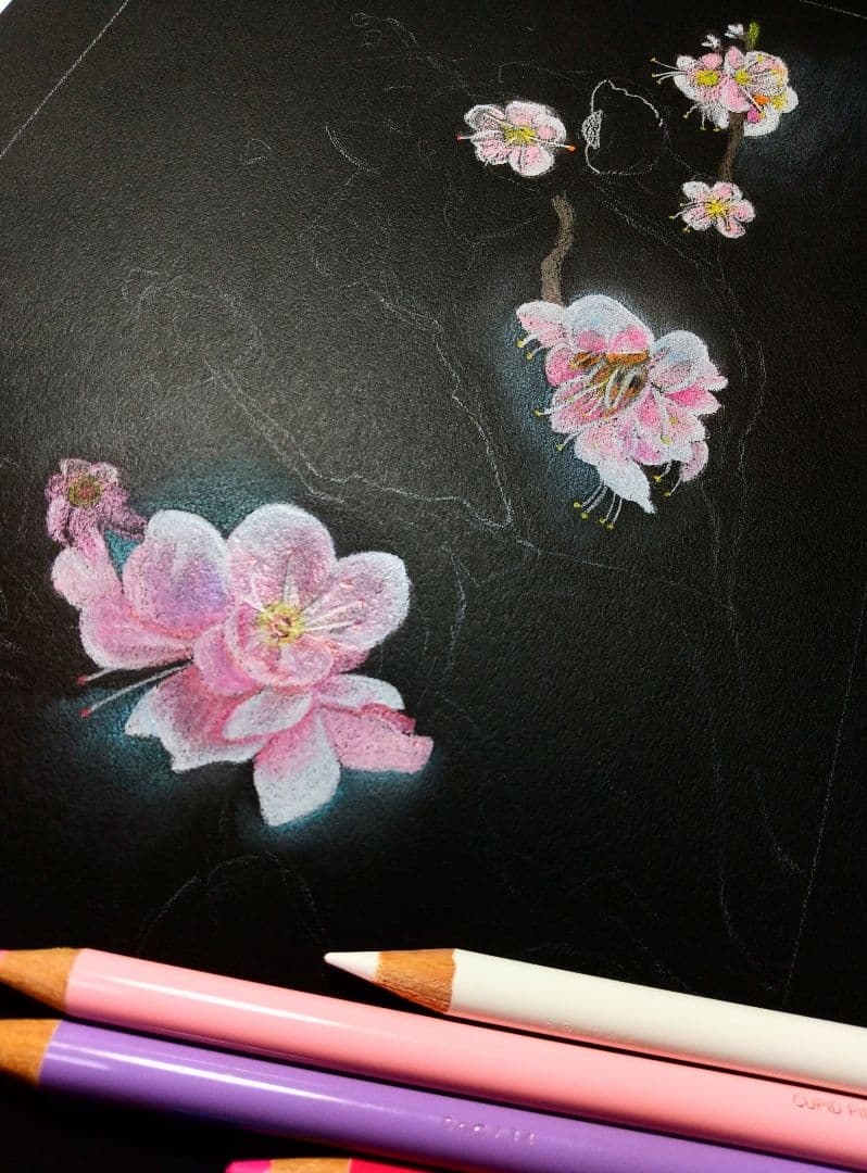 鉛筆手書き絵画盆栽の枝