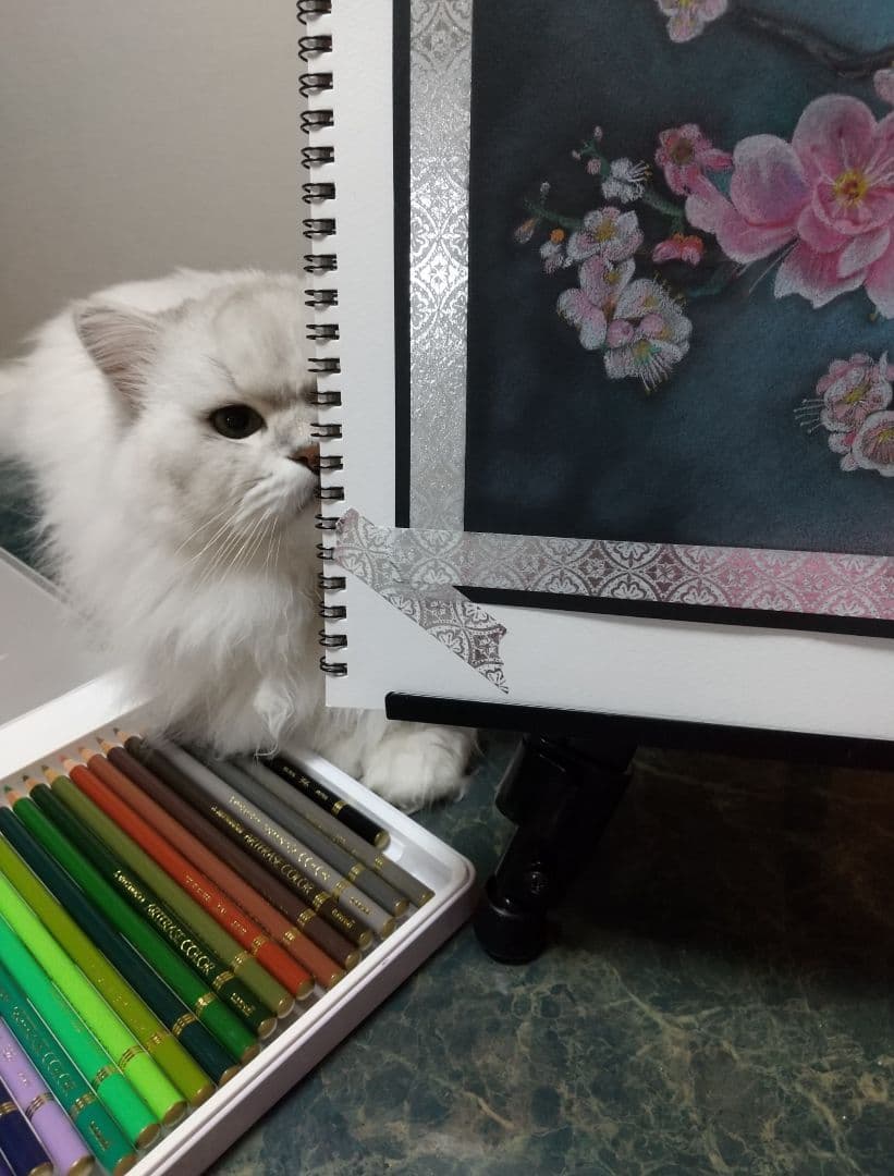 鉛筆手書き絵画盆栽の枝