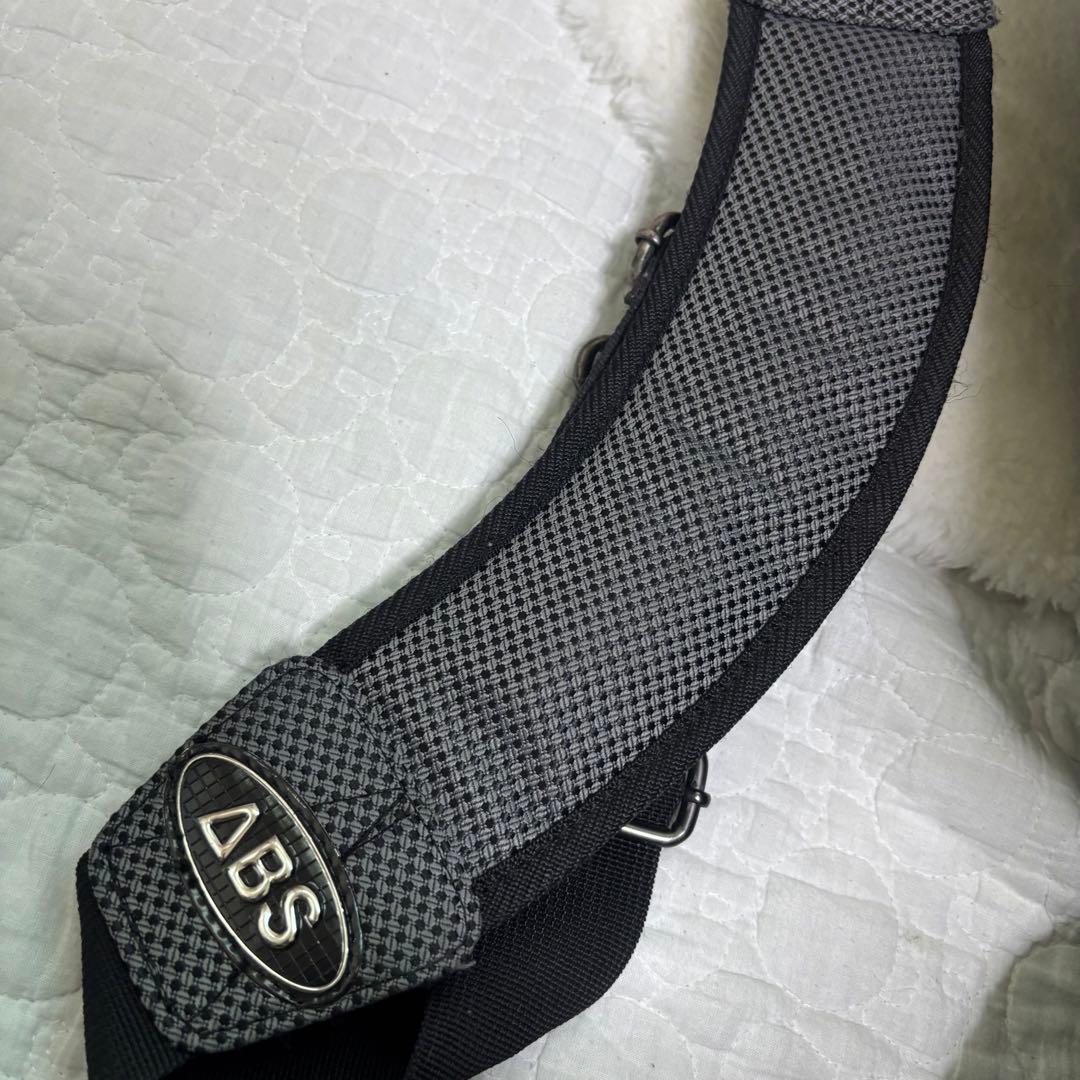 【希少】ABS ボーリング キャリーバッグ PRO-am 3way 2球