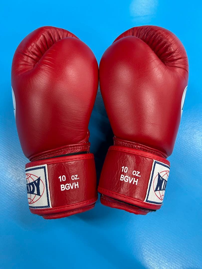 WINDY ボクシンググローブ 10 oz 赤