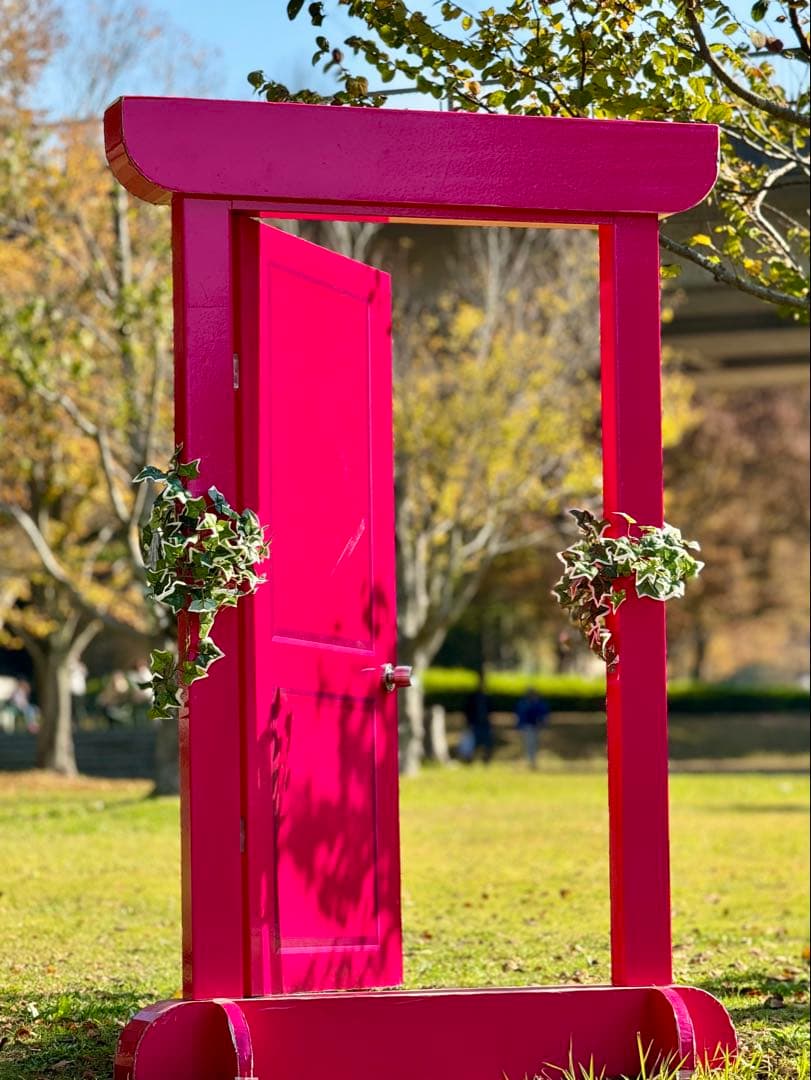 イベントで目玉になるどこでもドア風のオブジェ（関東近県は送料込み）