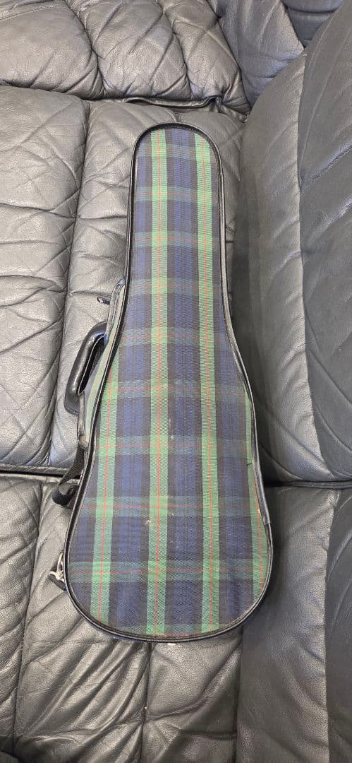 定価20万円 子供用バイオリン本体 ケース付き