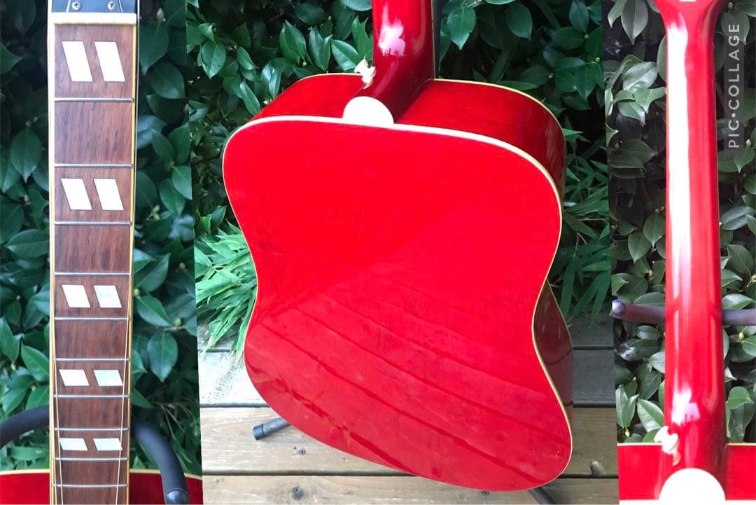 Epiphone DOVE NA Fishman搭載