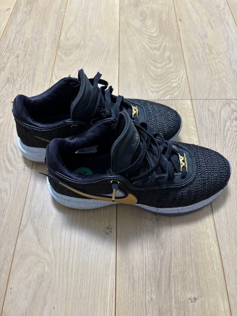 シューズ(男性用) Nike Lebron 20 \"Black/White