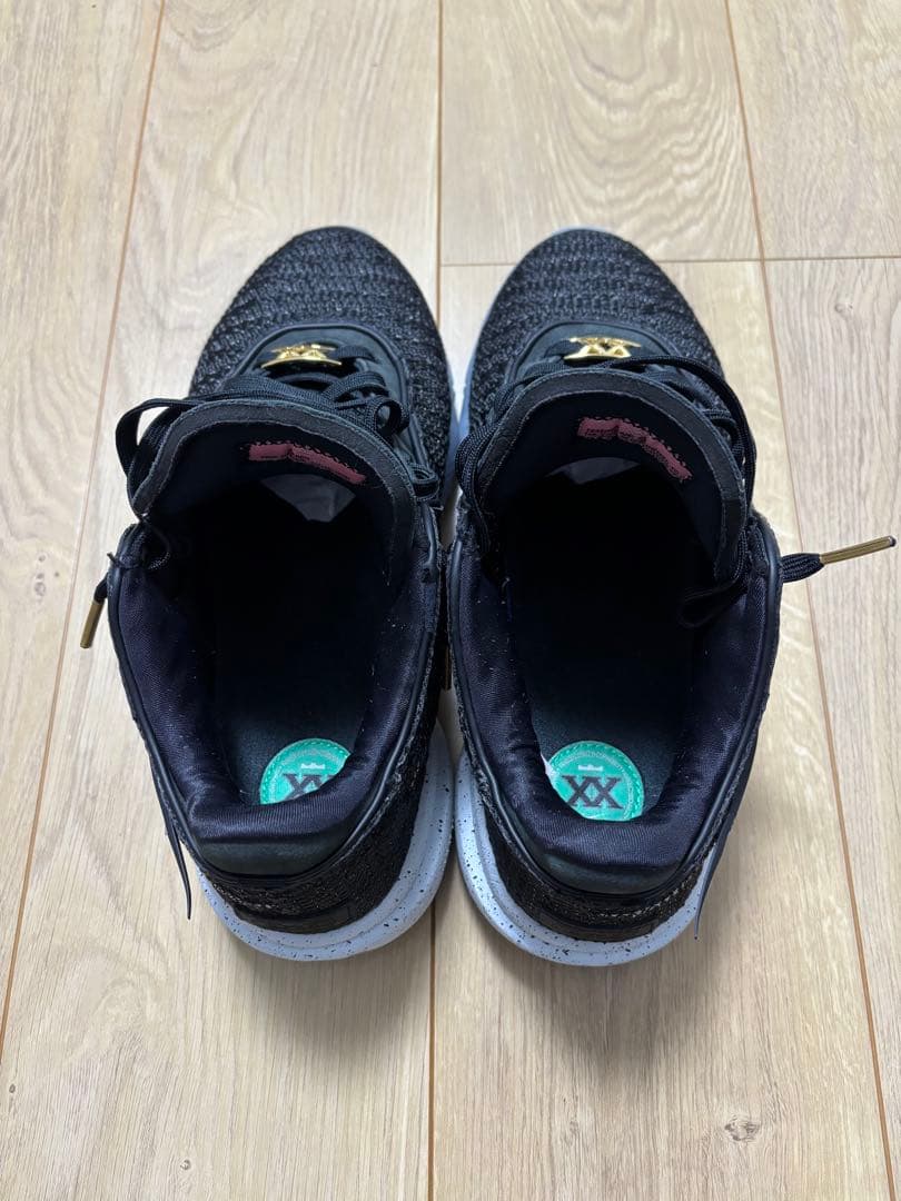 シューズ(男性用) Nike Lebron 20 \"Black/White