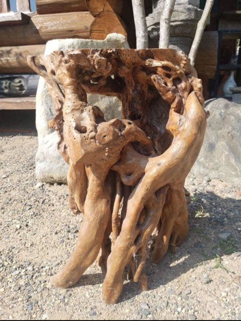 盆栽花台　根卓　ユニークな木製インテリアオブジェ m-NO210高さ60センチ