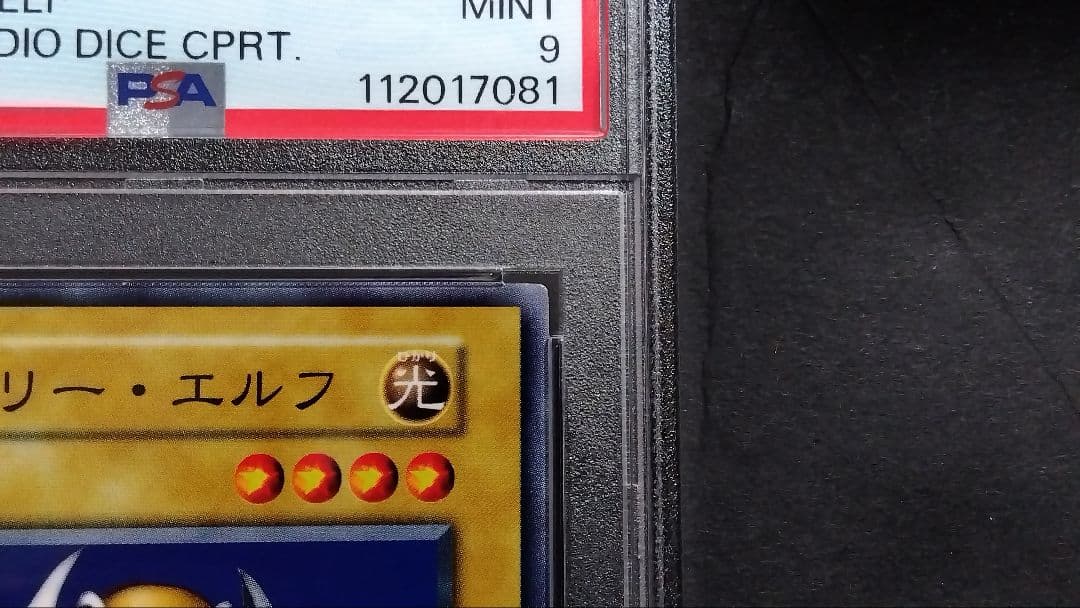 【PSA9】「ホーリー・エルフ」初期 スタジオダイス版