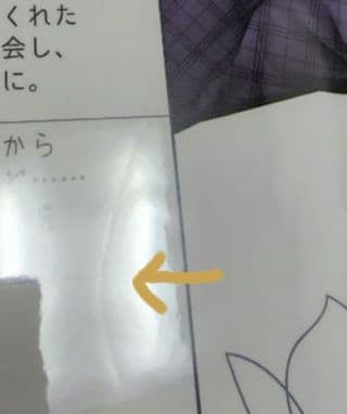 榊木庵　リアルインセンティブ 婚姻届 ポストカード セット　PLUSMATE